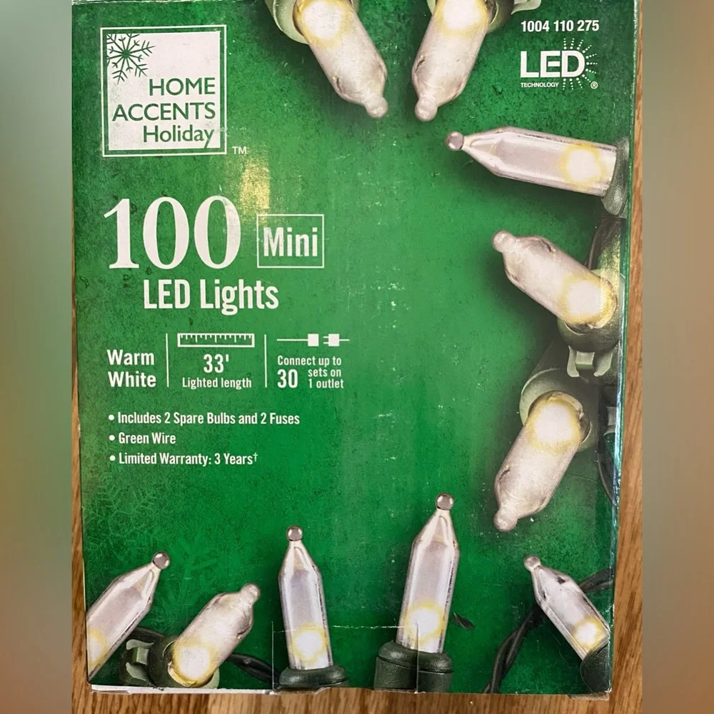 Home Accents Holiday 100 Mini LED Lights Warm White NIB